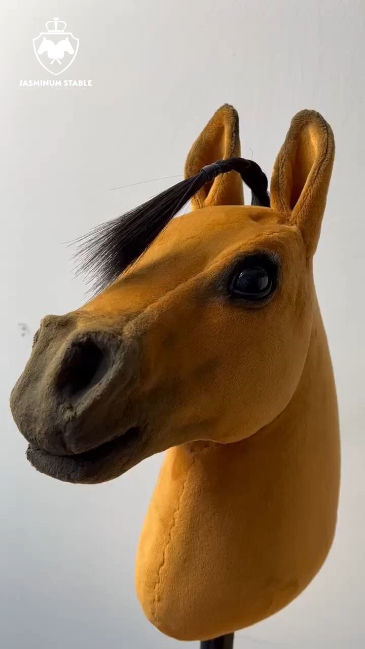 Little Colorado Realistic Hobby Horse