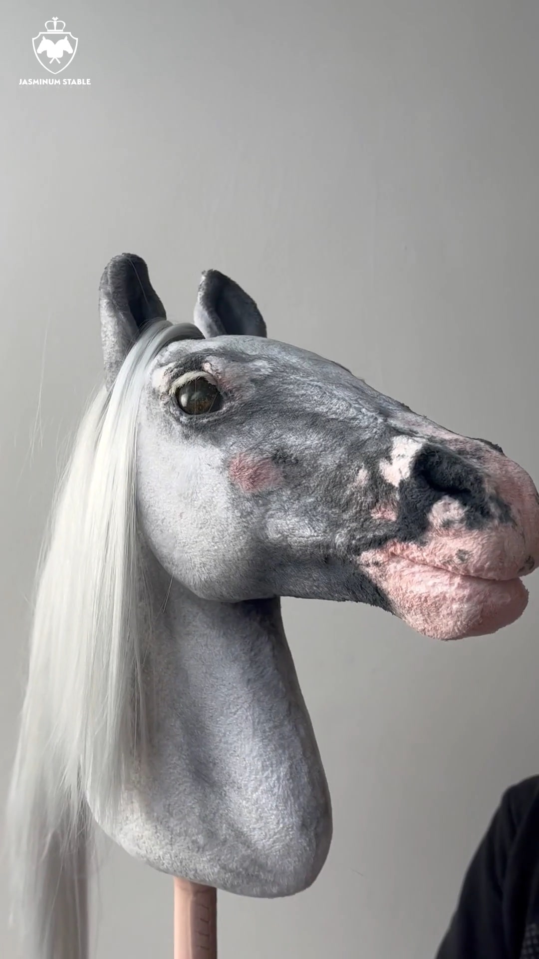 Little+ Lipitzan Realistic Hobby Horse