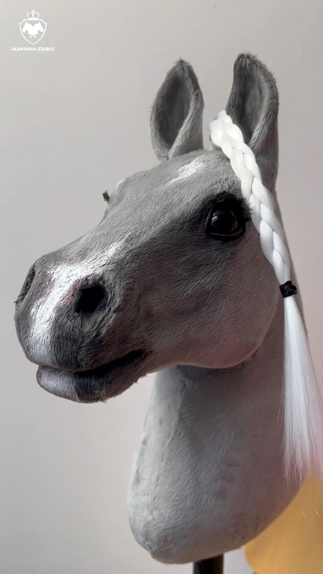 Little Splash Hobby Horse