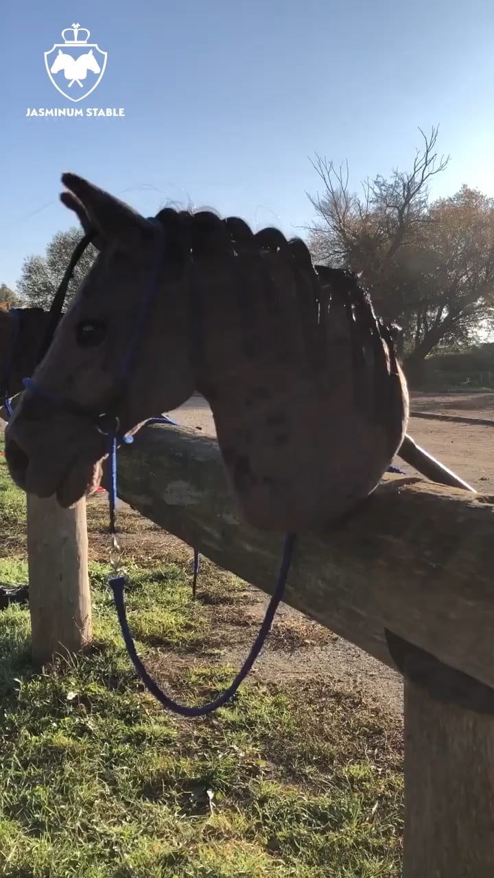 Billy & Willy Hobby Horse